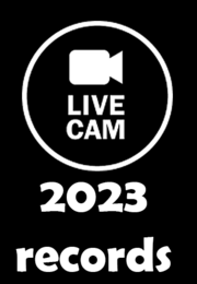 webcam 2023